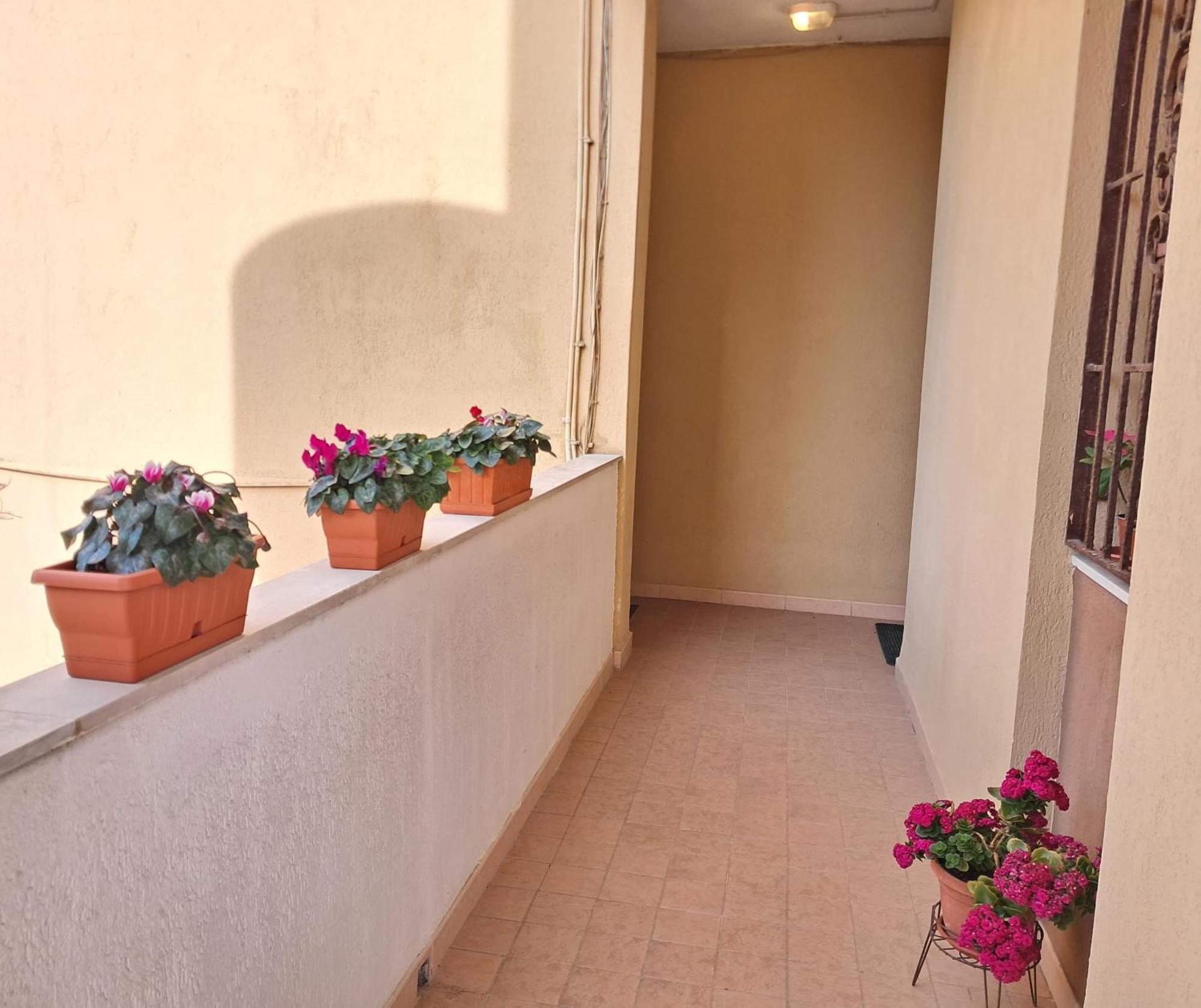 Apartament Europe Alguerhouse Zewnętrze zdjęcie